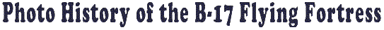 photohead.gif (4545 bytes)